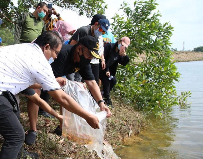 Wakil Kepala BP Batam Tebar Benih Ikan di Waduk Sei Ladi